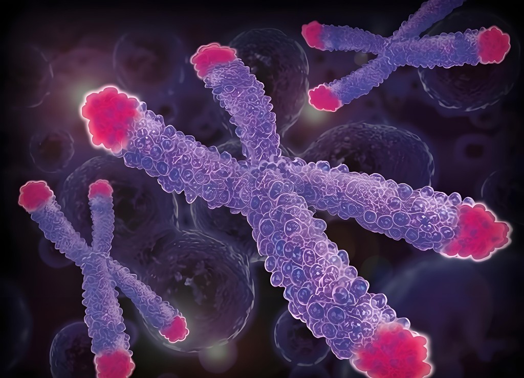 Chromosomes with highlighted telomeres — cellular longevity imagery