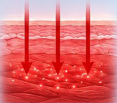 Illustration of 850nm near-infrared light reaching deeper tissue layers
